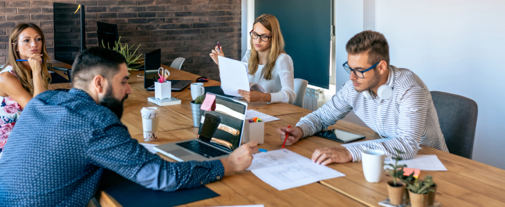 Plise Sineklik Aksesuarı Nedir ?